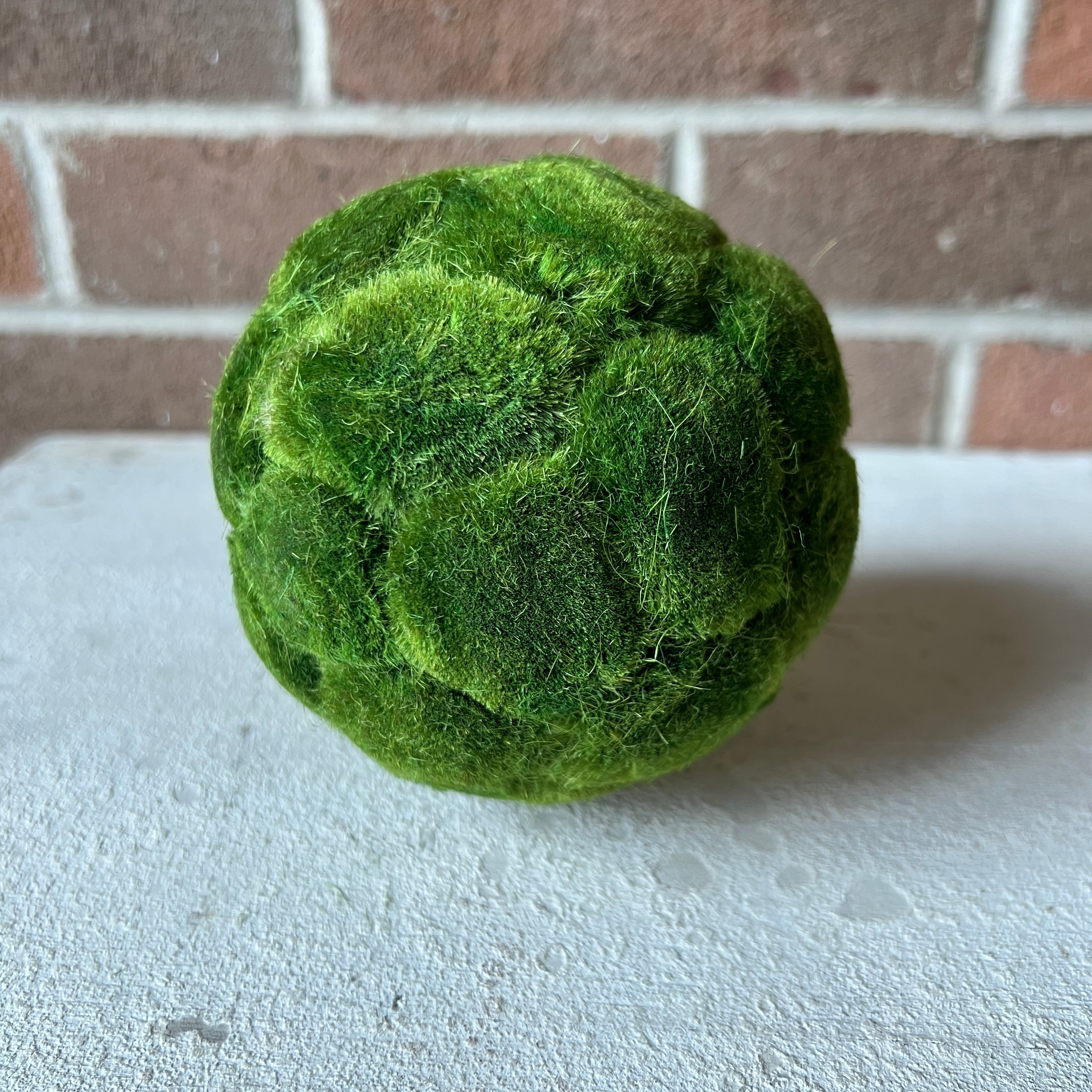 Moss Ball – Trove Warehouse